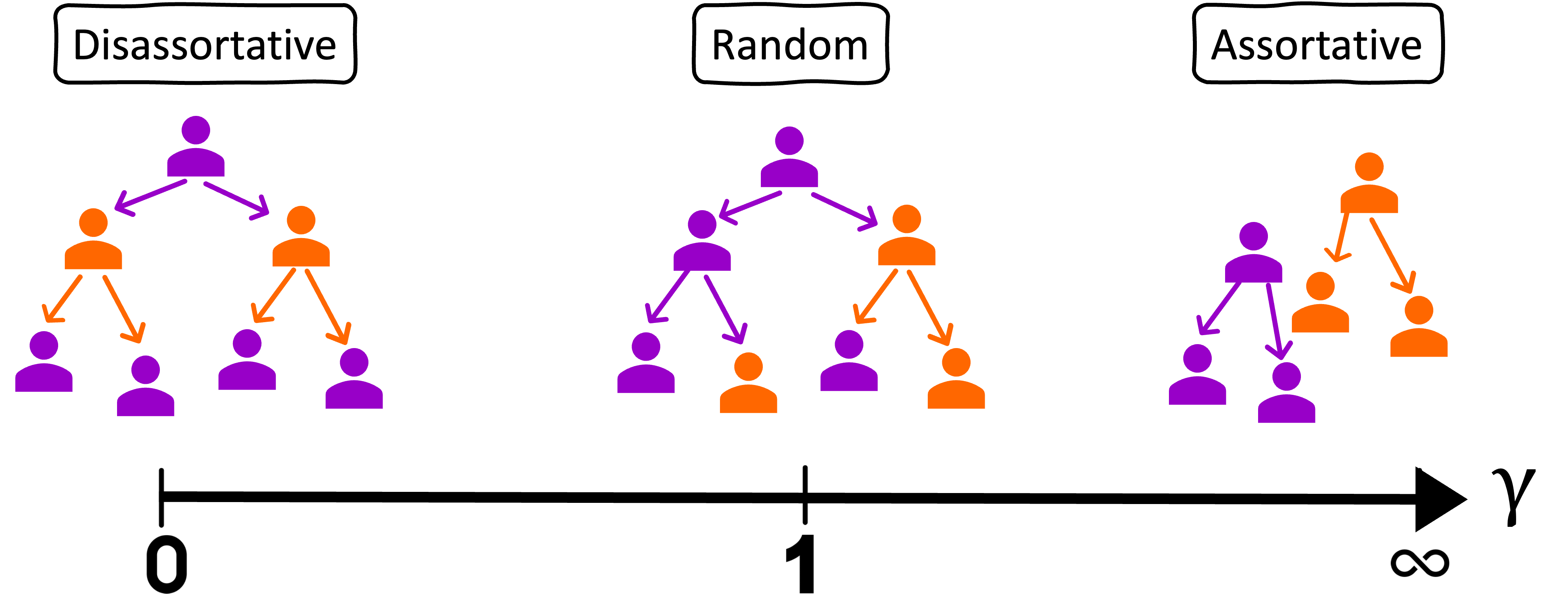 gamma assortativity coefficient
